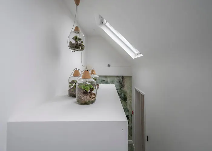 Nocleg ze śniadaniem Achilles